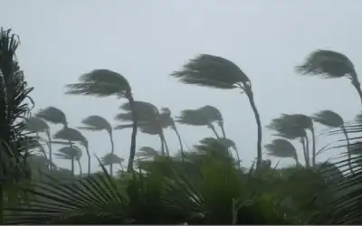 العاصفة المدارية بودول تغرق جنوب الصين