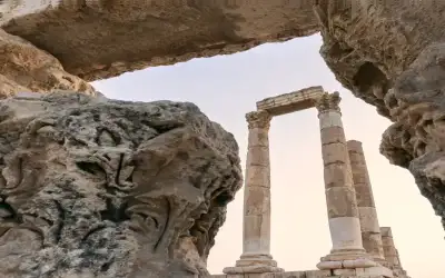 أكثر من 86 ألف مشارك في