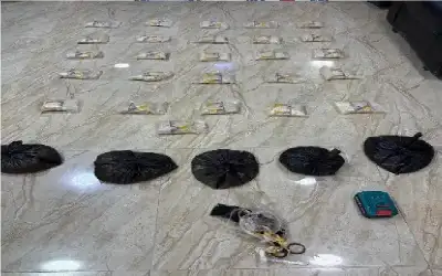 الجيش يحبط تهريب مخدرات بواسطة بالونات