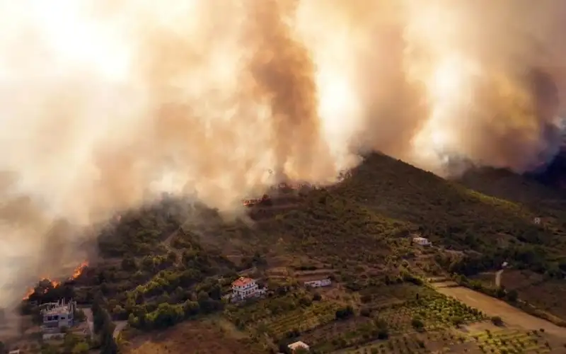 حرائق الساحل السوري تلتهم مساحات حراجية