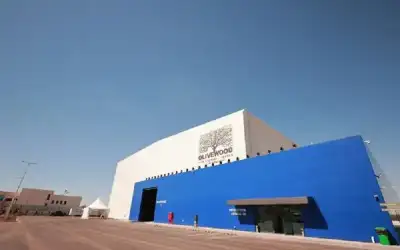 مأساة في المطار.. محرك طائرة يبتلع