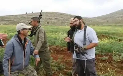 مستوطنون يواصلون إرهابهم: اقتلاع وقطع أشجار