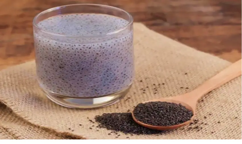 فوائد صحية سحرية لمزيج بذور الشيا