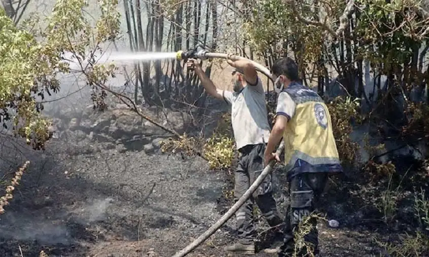 توسع حرائق حماة واللاذقية… وتضرر آلاف