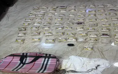 المنطقة العسكرية الشرقية تحبط محاولة تهريب