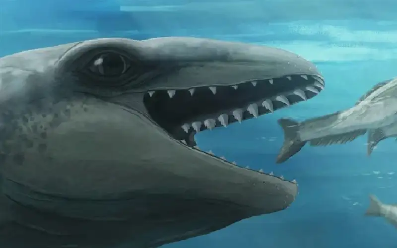 عمره 25 مليون سنة.. اكتشاف حوت