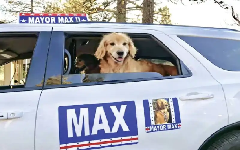 عن الحضارة الغربية التي يريدون تسويقها