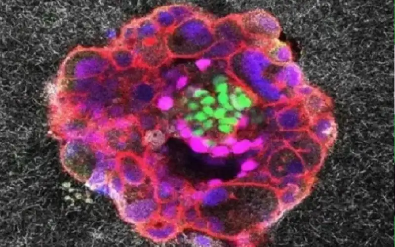 لأول مرة في العالم.. فيديو يرصد