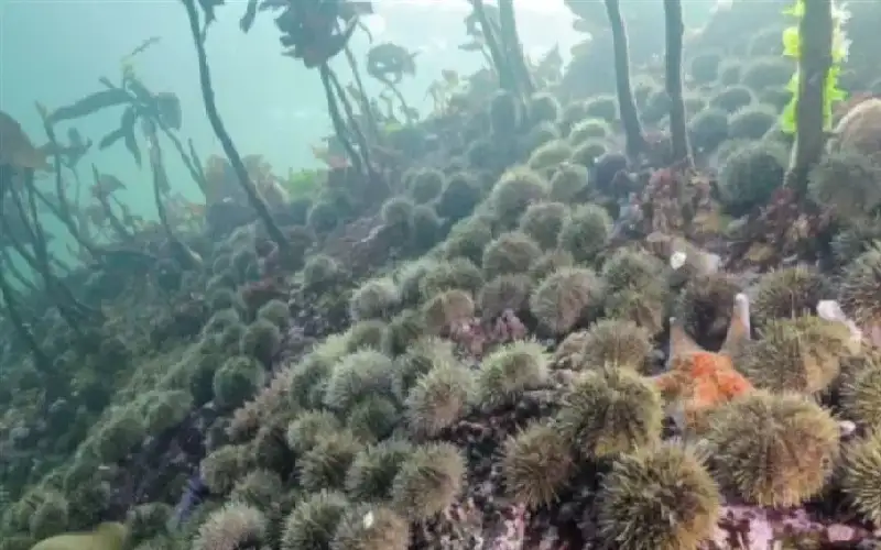 علماء يتمكنون من حل أحد أعظم