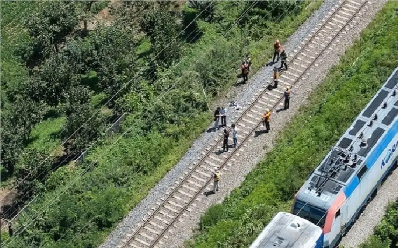 مصرع شخصين وإصابات عدة بعد اصطدام