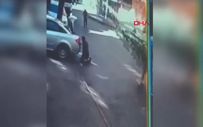 شاهد.. شجرة تترك تركيا بين الحياة