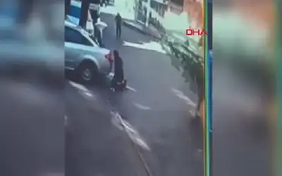شاهد.. شجرة تترك تركيا بين الحياة