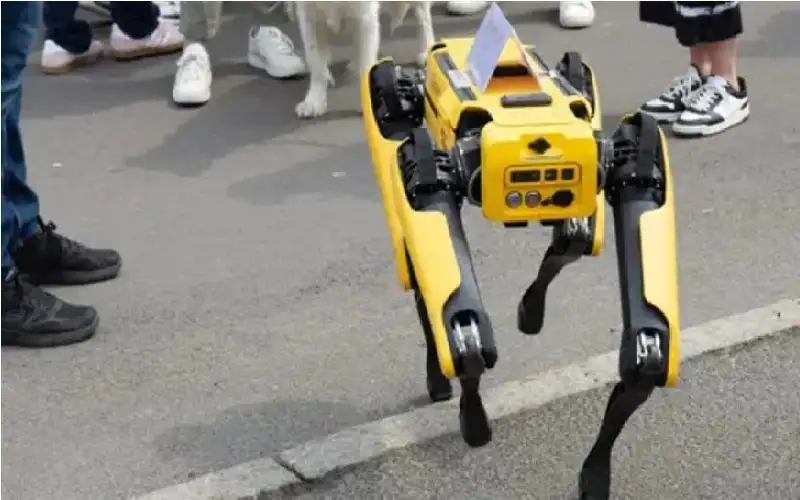 هونغ كونغ تلجأ للكلاب الروبوتية لمكافحة