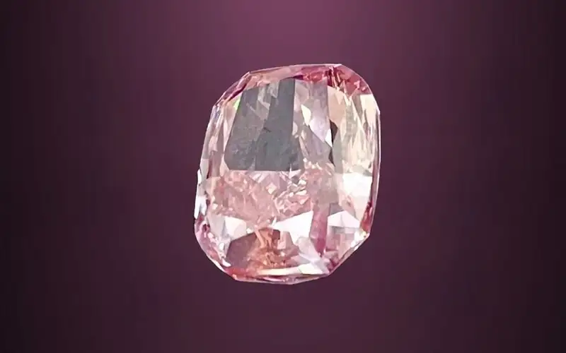 شرطة دبي تفشل مخططا احترافيا لسرقة