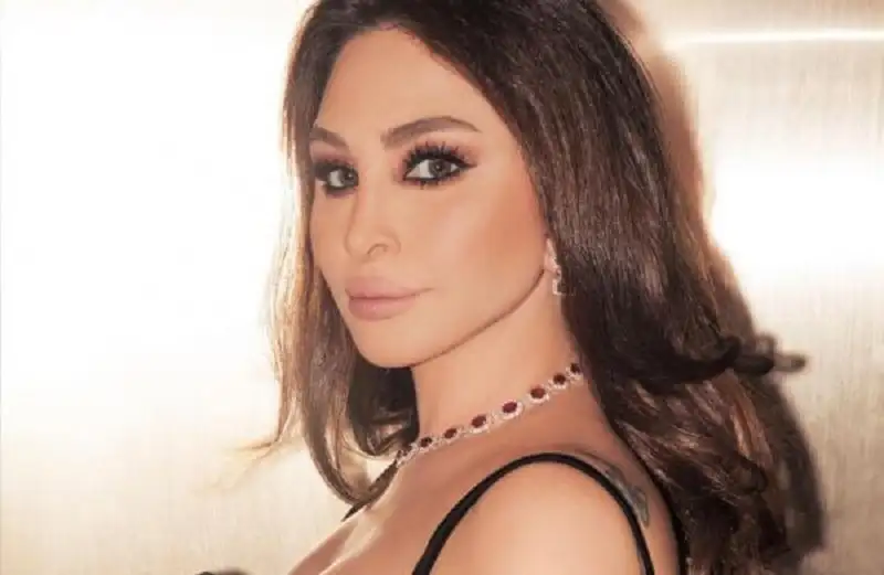 سرقة 2.7 مليون دولار من إليسا