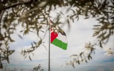 اجتماع وزاري طارئ لـالتعاون الإسلامي الاثنين