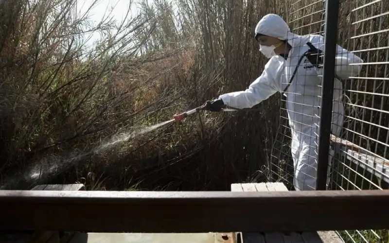 اليونان تسجل حالتي وفاة بحمى غرب