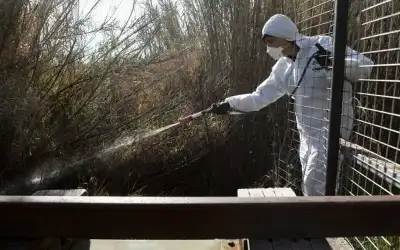 اليونان تسجل حالتي وفاة بحمى غرب