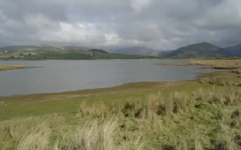 بريطانيا.. نفوق كلب يكشف مياه شديدة