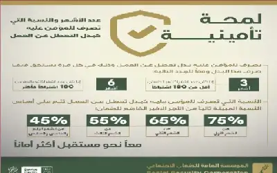 الضمان: (15) ألف مؤمن عليه استفاد