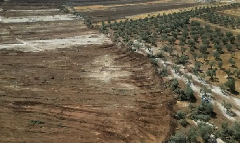 هذا ليس “تصميما” بل جريمة حرب..