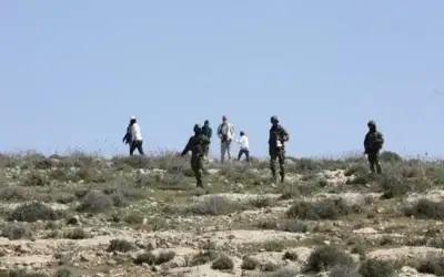 مستوطنون يهاجمون تجمعا بدويا قرب بلدة