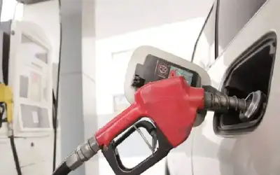 عامر الشوبكي ترجيح تخفيض أسعار الديزل