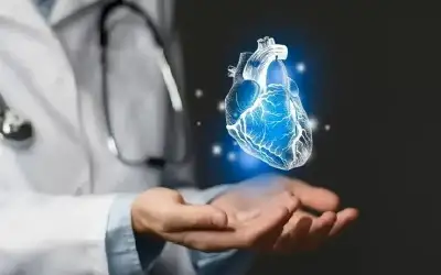 دراسة: دهون البطن تسرع شيخوخة القلب