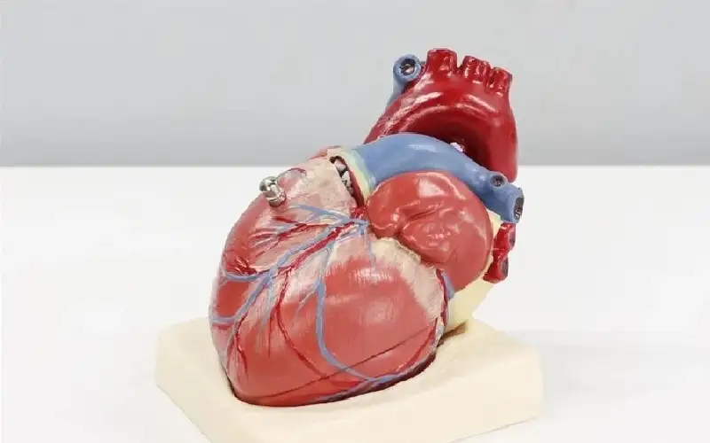 عدم انتظام مواعيد النوم يهدد حياة