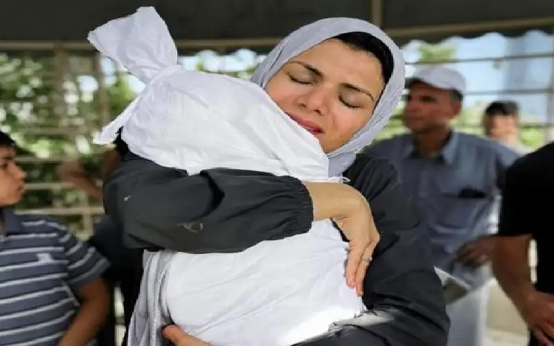 الاحتلال يواصل ابادته لقطاع غزة.. قصف