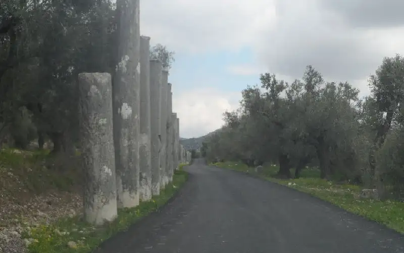 سبسطية والمسعودية أكبر مخزون تاريخي وأثري