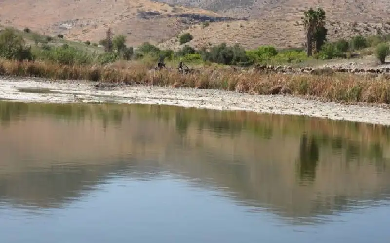 بعد جفافها.. سلطة وادي الأردن تعيد