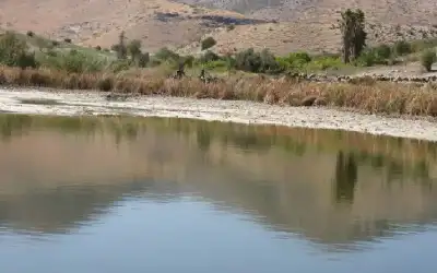 بعد جفافها.. سلطة وادي الأردن تعيد