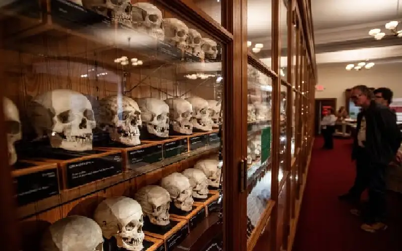 متحف أمريكي يعرض بقايا بشرية بينها