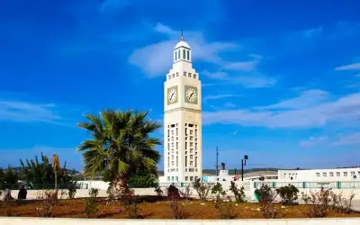 تشكيلات أكاديمية إدارية في جامعة الزيتونة