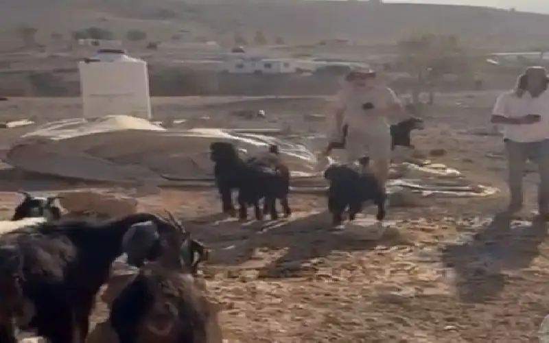 مستوطنون يقتحمون تجمع شلال العوجا