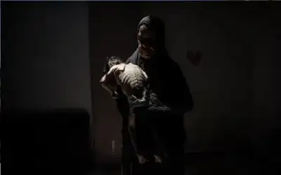 7 شهداء نتيجة التجويع في غزة