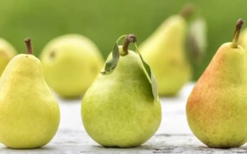 وزارة الزراعة تعلن فتح باب استيراد