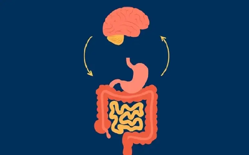 دراسة تؤكد وجود روابط عاطفية بين