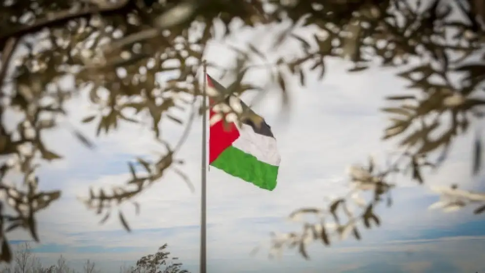 بلجيكا تعتزم الاعتراف بدولة فلسطين خلال