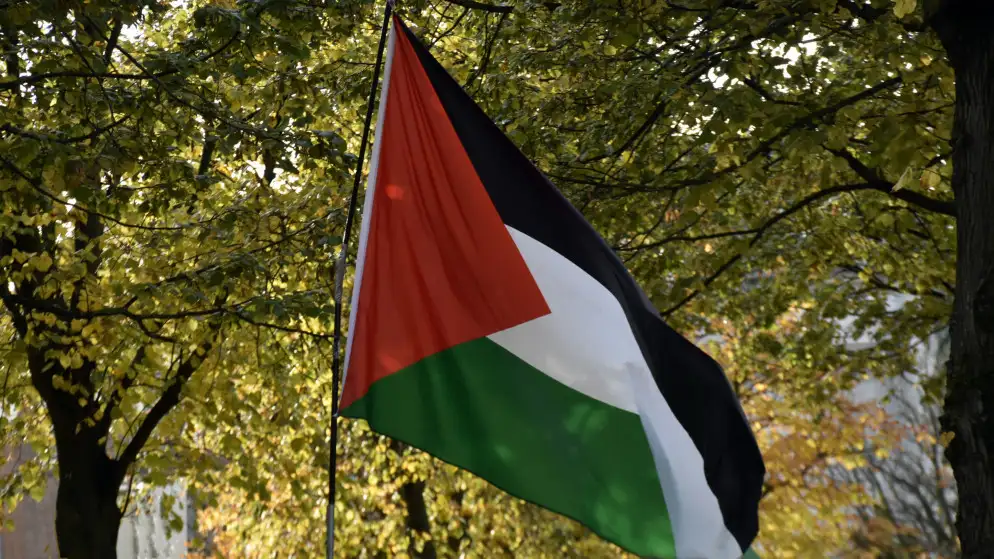 الأردن يرحب بعزم بلجيكا على الاعتراف