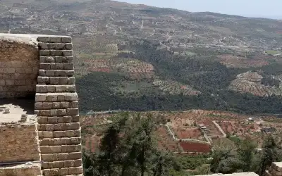 عجلون: الغابات الكثيفة الوجهة المفضلة للمتنزهين