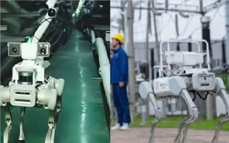 يديرها روبوت رباعي الأرجل.. أول مزرعة