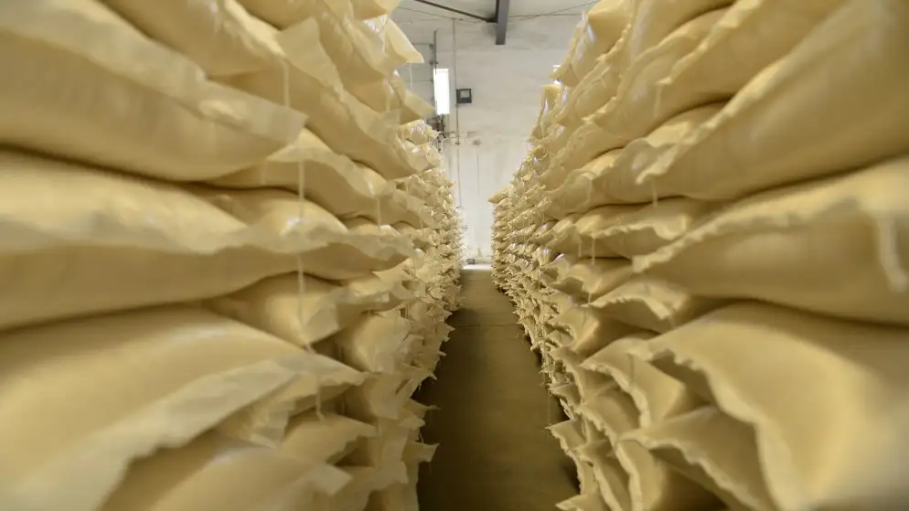 لجنة الزراعة النيابية تناقش استخدام الحليب