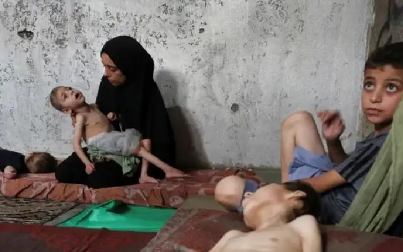 6 شهداء نتيجة التجويع في غزة