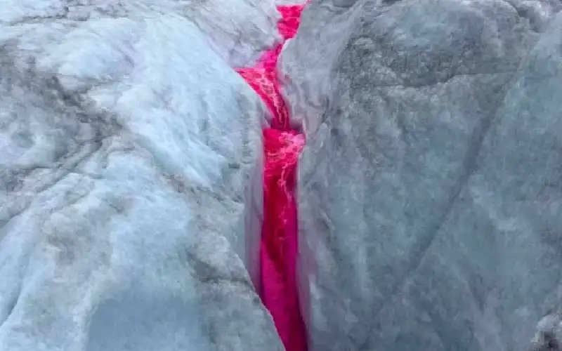 نهر جليدي وردي.. جغرافية أوروبا تتغير