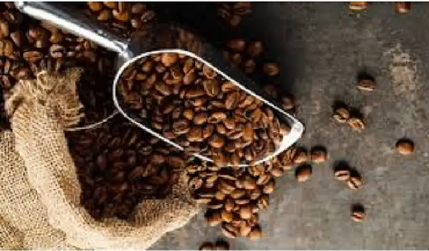 غرفة تجارة الأردن: توقعات بارتفاع أسعار