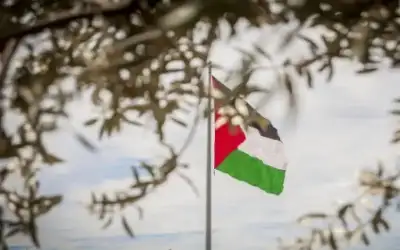 مجلس الجامعة العربية يدعم حصول فلسطين