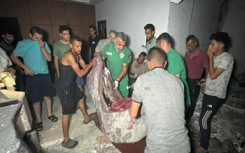 بقايا شهيد