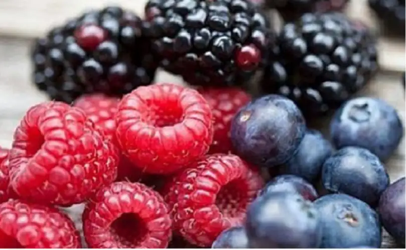 9 أطعمة صديقة للكلى .. حماية